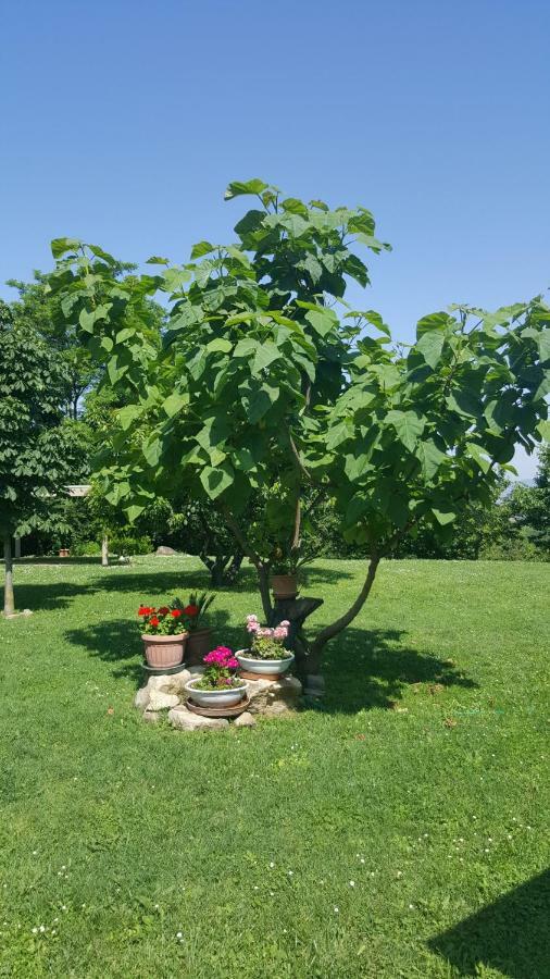 Country House Bucaneve Rovolon Dış mekan fotoğraf
